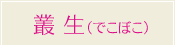 叢生(でこぼこ)